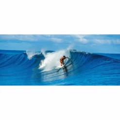 TAHE Surf 7'6'' Mini Longboard Surfboard -AQUA MARINA Butik 7 6 fish