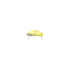 Aztron Volans 5'8 Allround Fish Softdeck Surfboard -AQUA MARINA Butik volans 5